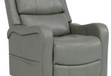 Walgreens Lift Chair Recliner Recliner Lift Chairs torino2017 Com