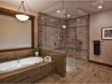 Walk In Bathtub Designs 25 Luxury Walk In Showers