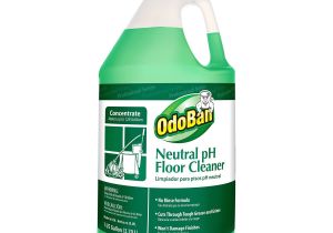 Walmart Floor Cleaners Products Rug Scrubbers at Walmart Beautiful Amazon Odoban G Neutral Ph Floor