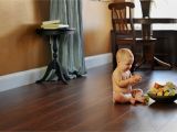 Walmart Wood Floor Mops Laminate Flooring Laminate Floor Steam Mop Laminate Floor Steam