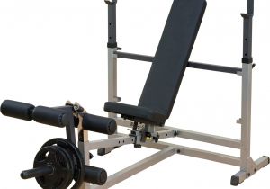 Weight Bench Dicks Body solid Gdib46l Olympic Weight Bench with Leg Developer Dicks