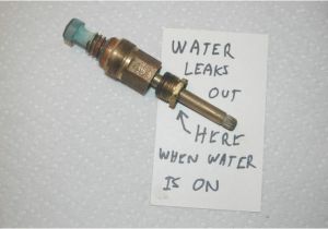 Where Do Bathtubs Leak Faucet Leaks when Turned On