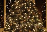 Where to Buy Christmas Lights the Cheap Diy Outdoor Christmas Decorations Amazing Design