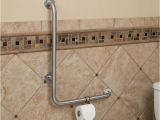 Where to Put Grab Bars In Bathtub Careagegrab Bars Careage