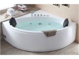 Whirlpool Bathtub Bacteria Shop Eago Am200 5 Foot Rounded Modern Double Seat Corner