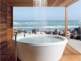 Will Bathtubs Luxury Custom Homes In Sydney – Emerging Trends Felton