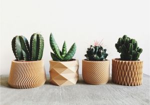 Wooden Flower Pot Homedesigning Cool 3d Printed Wooden Planters Apartmentshowcase