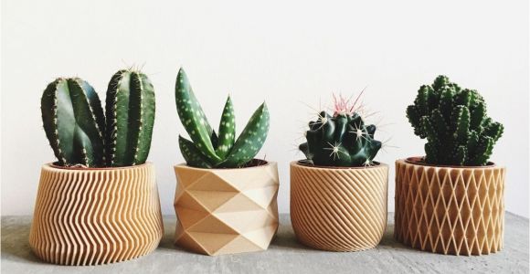 Wooden Flower Pot Homedesigning Cool 3d Printed Wooden Planters Apartmentshowcase