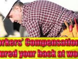 Workers Compensation Light Duty Policy Workers Compensation Back Injury at Work is It Workers Comp