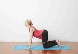 Yoga Chair Stretch sofa Relax How to Do Cat Cow Stretch In Yoga