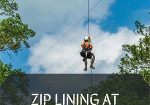 Zip Line Kits for Backyard Extreme Backyard Adventures Zipline Fresh 50 Best Backyard Zip Line